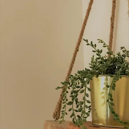 L'escale-cosy Hypercentre Et Au Calme * Nantes