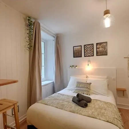 L'escale-cosy Hypercentre Et Au Calme Apartment Nantes