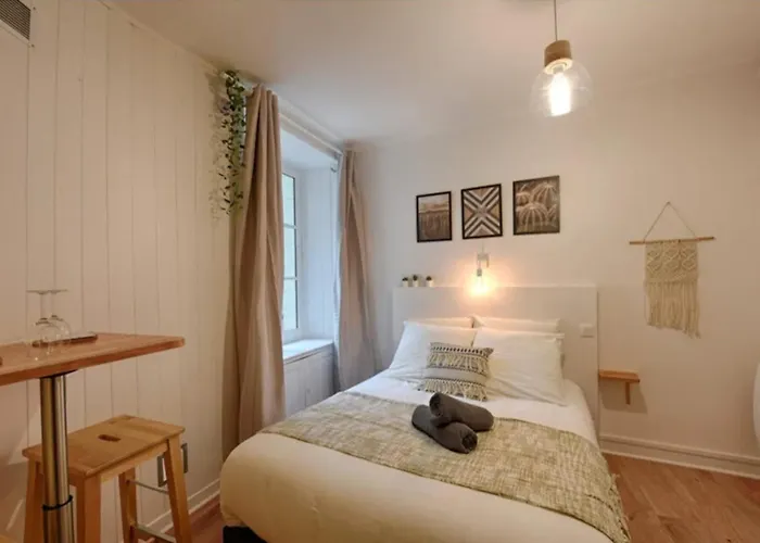 L'escale-cosy Hypercentre Et Au Calme דירה נאנט